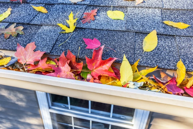 Fall leaves clogging a house gutter.