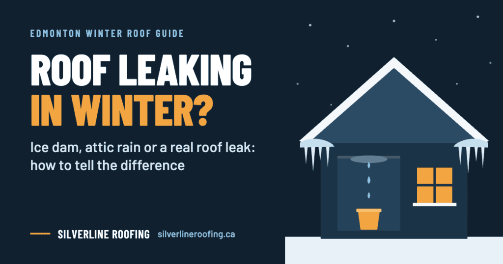 Ceiling dripping this winter? Learn how to tell an ice dam, attic rain and a real roof leak apart, what to do first, and what winter roof repairs cost in Edmonton